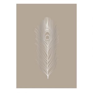 Poster plume greige et argent